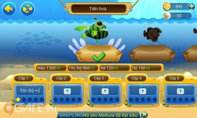 Chọi Cá Online - Hướng dẫn Tiến Hóa cá